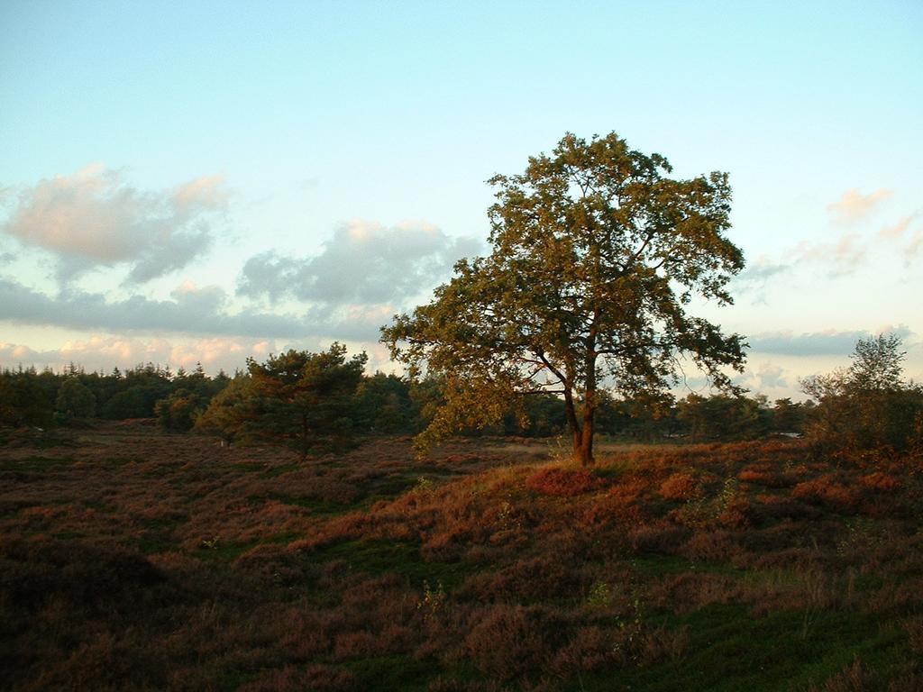 De Riekhoff Villa Een-West Bagian luar foto