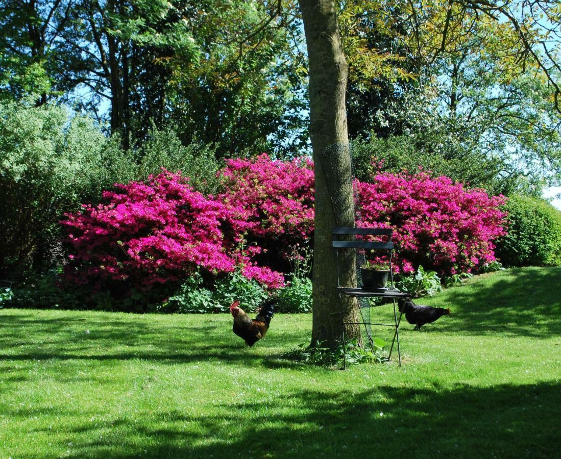 De Riekhoff Villa Een-West Bagian luar foto