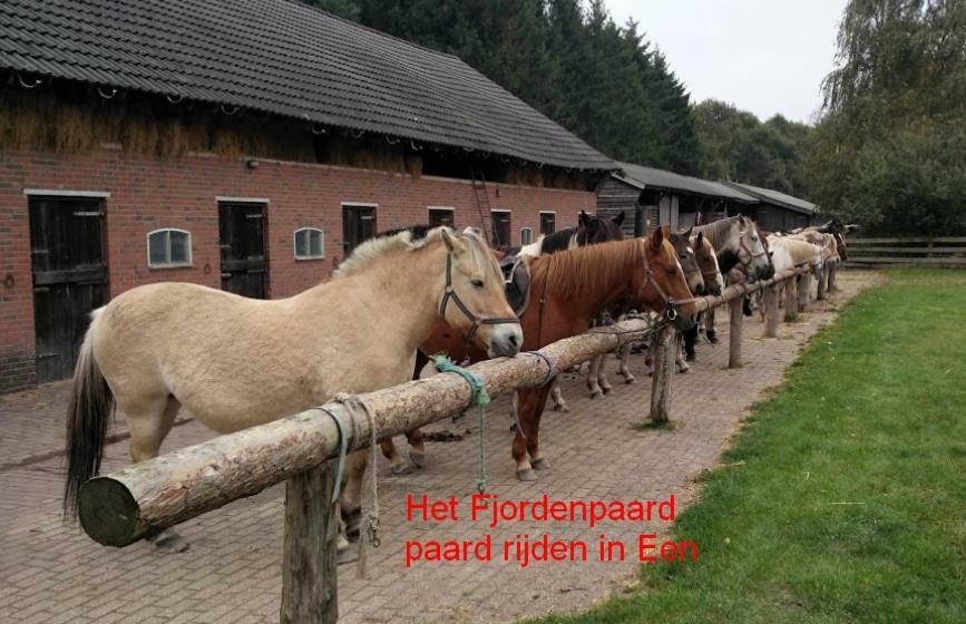 De Riekhoff Villa Een-West Bagian luar foto